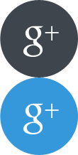 Google+ Icon